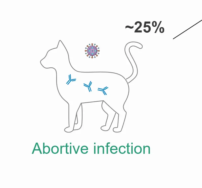 Feline Leukemia Virus (FeLV) Infection