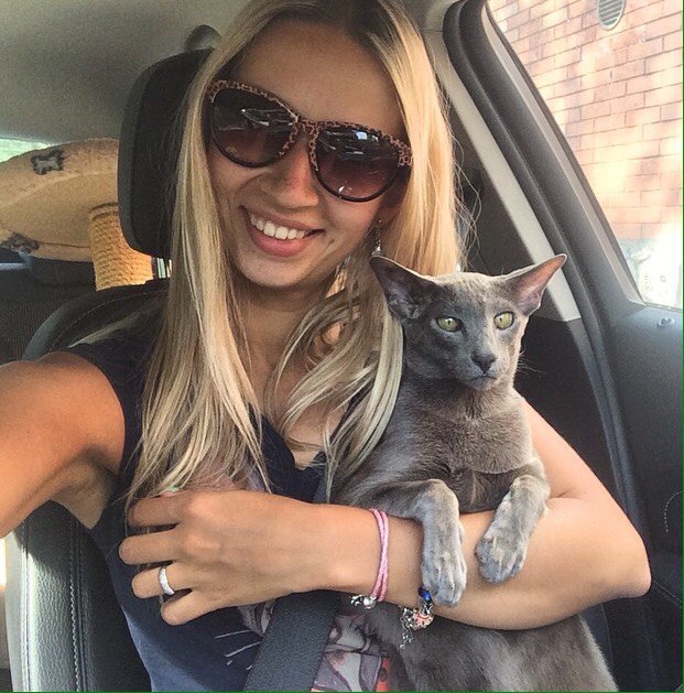 a girl in a car holding gray oriental shorthair kitten adopted in Cataristocrat cattery