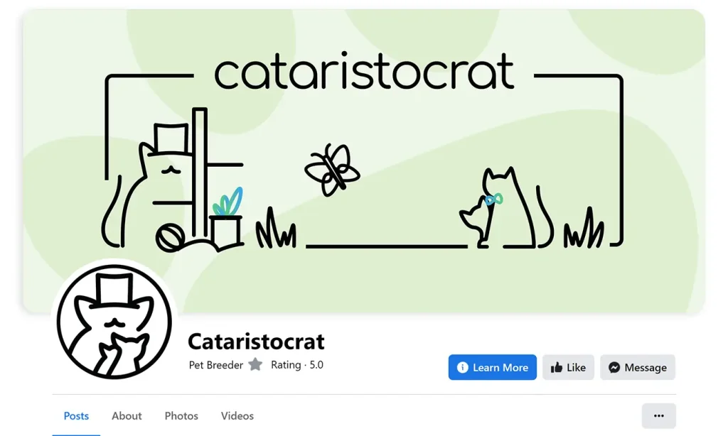 Cataristocrat Oriental Shorthair and Siamese Cattery Facebook Page with Logo
