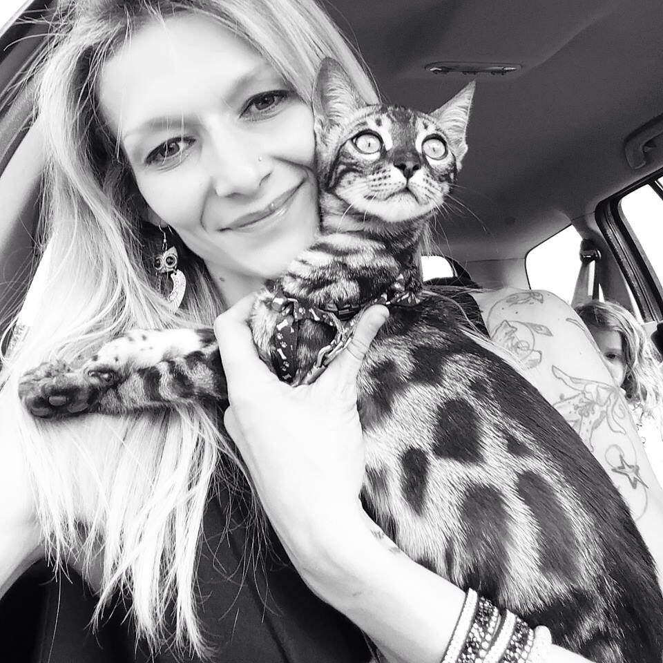 the new owner of Cataristocrat's cat with her kitten Bagheera