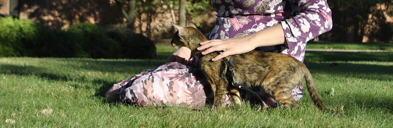 Olga Shatokhina, founder of Cataristocrat Cattery, petting her Black Tortie cat in the park