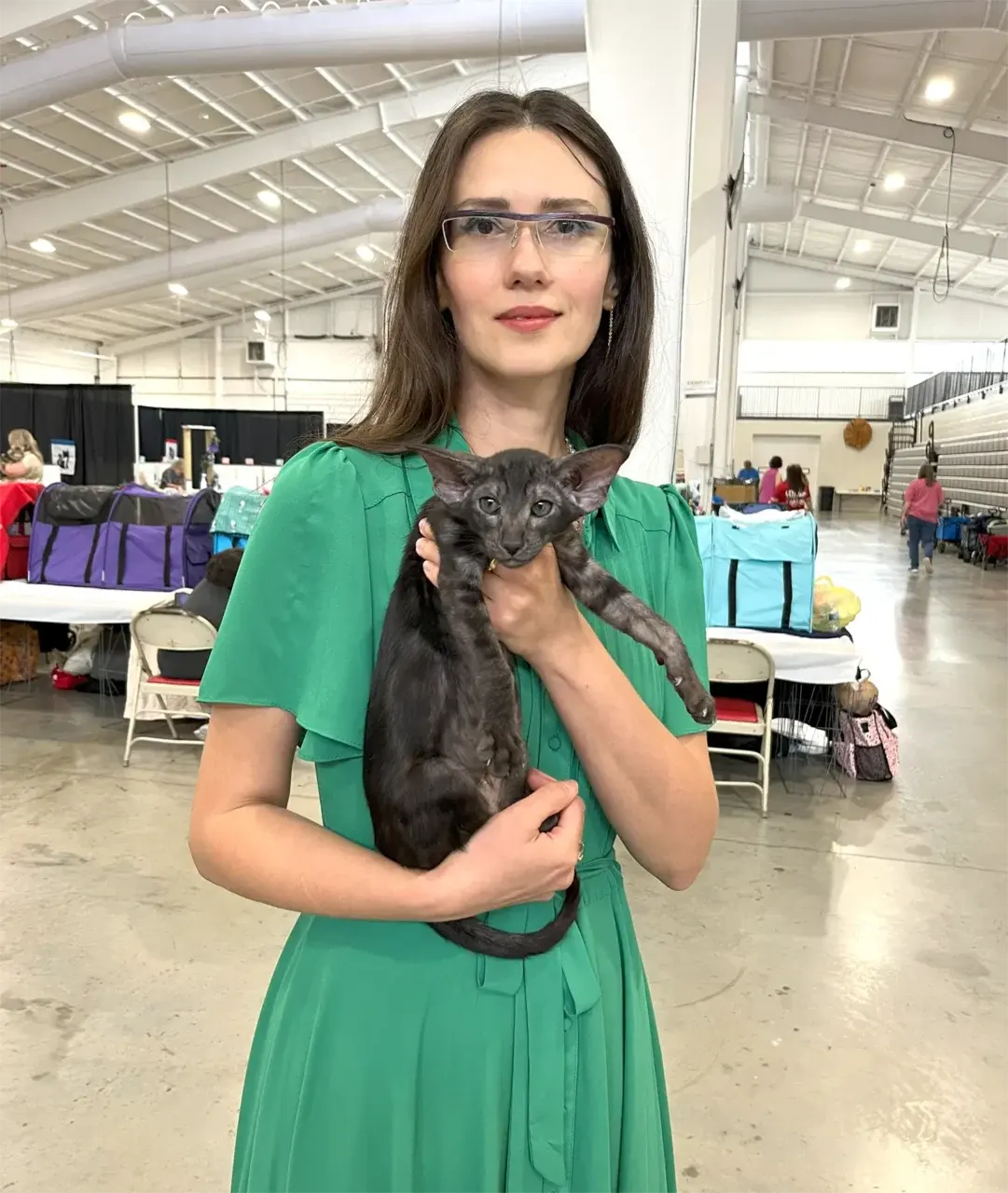 Olga Shatokhina with her Oriental Shorthair kitten at a cat show