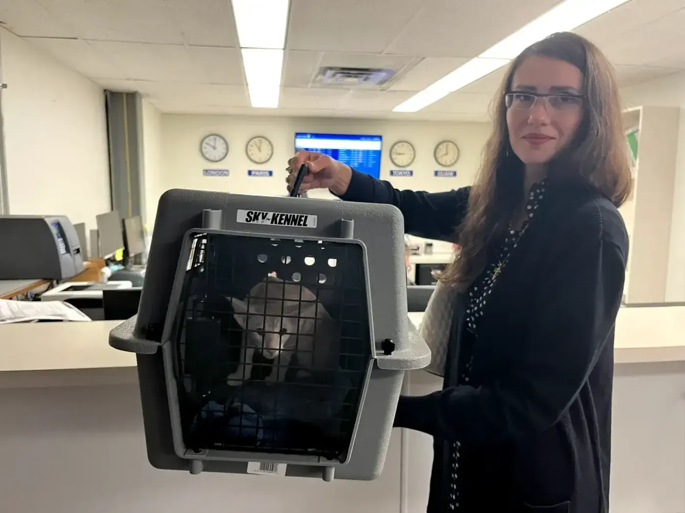 A person holds a specially designed, durable, IATA- and airline-compliant plastic carrier with a metal grated door in the airline's cargo terminal, containing an Oriental Shorthair kitten.