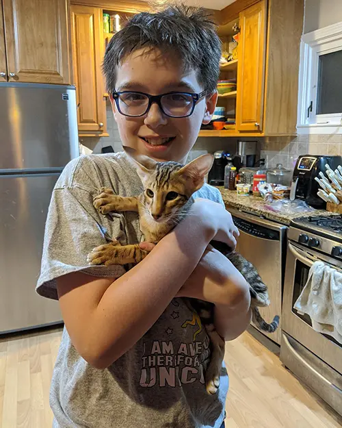 A smiling boy holding an Oriental Shorthair kitten in a kitchen
