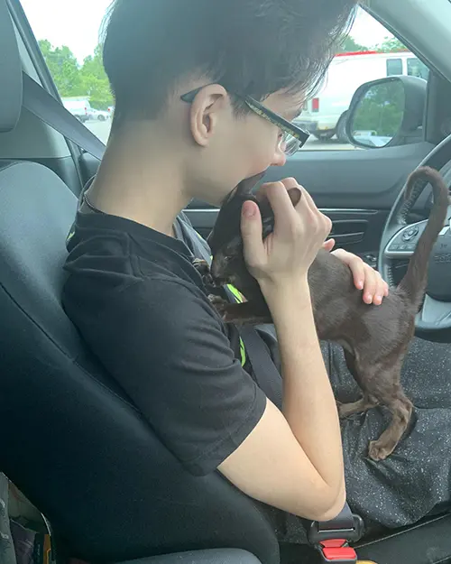 Teenager holding and petting an Oriental Shorthair kitten from Cataristocrat Cattery in a car