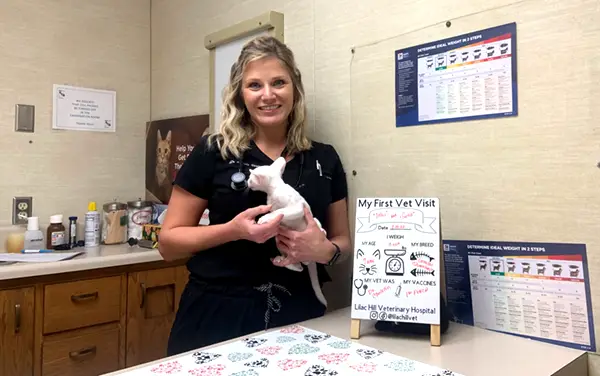 Veterinarian Christine Vargo is holding Siamese kitten